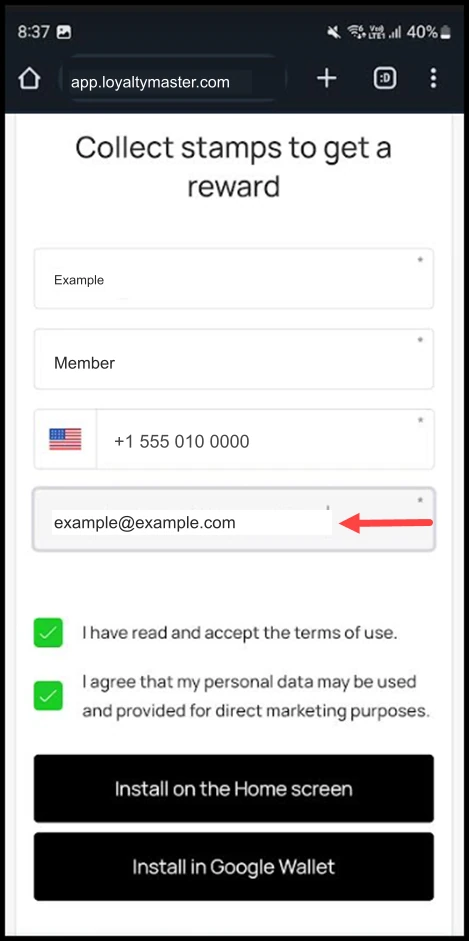 Google Pay on Android: Use the Email field to record your email address.
